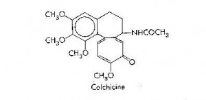 colchicine chemical structure treatment for gout Dr. Burton S. Schuler Podiatrist Panama City, Fl